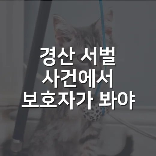 경산 서벌 사건에서 보호자가 봐야 할 5가지 책임 - 요약