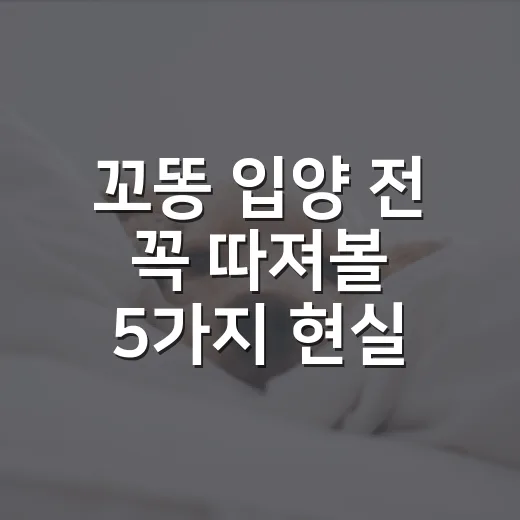 꼬똥 입양 전 꼭 따져볼 5가지 현실 조건 - 요약