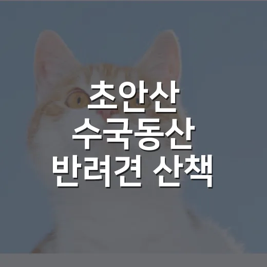 초안산 수국동산 반려견 산책 전 확인할 5가지 - 요약