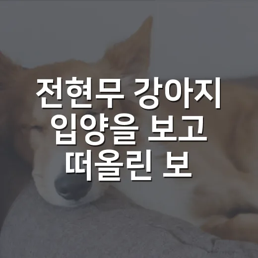 전현무 강아지 입양을 보고 떠올린 보호자가 꼭 챙길 5가지 - 요약