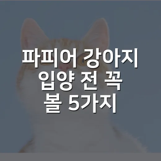 파피어 강아지 입양 전 꼭 볼 5가지 체크포인트 - 요약