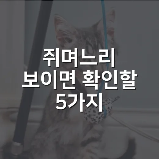 쥐며느리 보이면 확인할 5가지: 반려동물 집에서 그냥 둬도 될까 - 요약