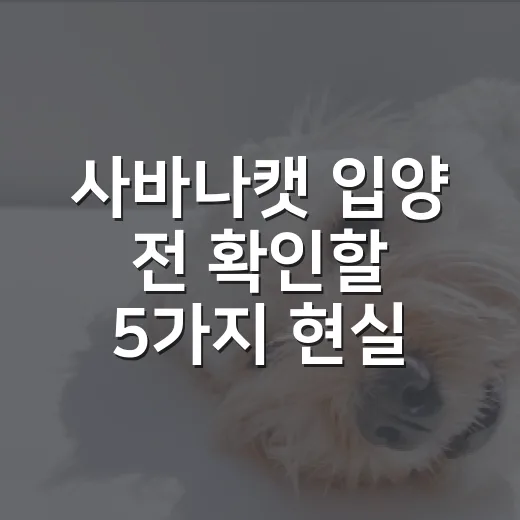 사바나캣 입양 전 확인할 5가지 현실 조건 - 요약