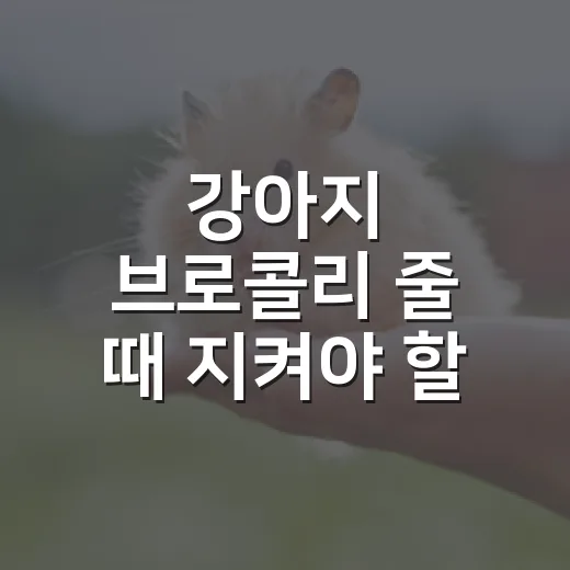 강아지 브로콜리 줄 때 지켜야 할 5가지 기준 - 요약