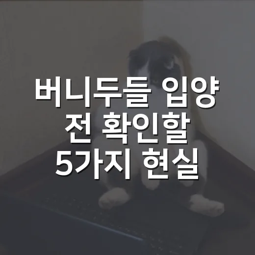 버니두들 입양 전 확인할 5가지 현실 기준 - 요약