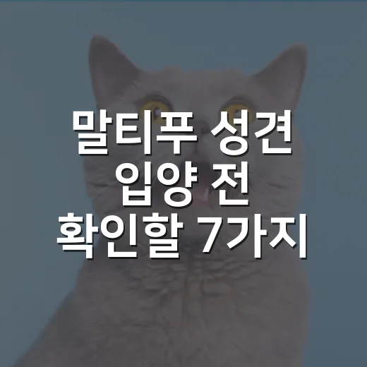 말티푸 성견 입양 전 확인할 7가지 현실 기준 - 요약