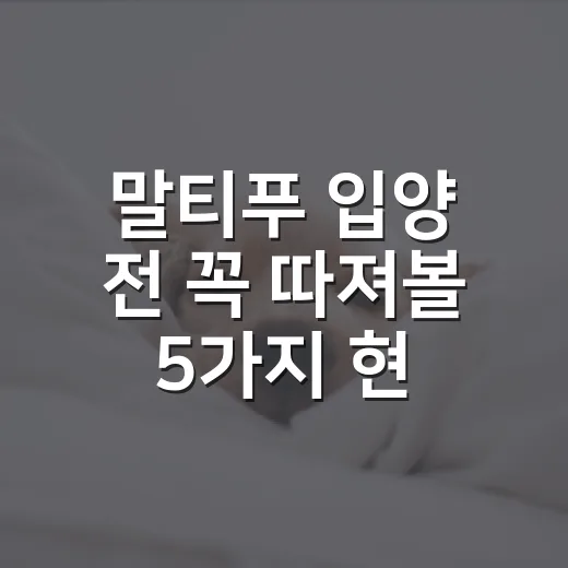 말티푸 입양 전 꼭 따져볼 5가지 현실 체크 - 요약