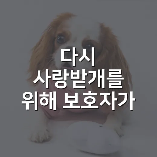 다시 사랑받개를 위해 보호자가 먼저 확인할 5가지 - 요약