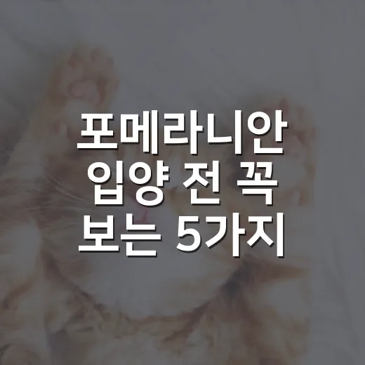 포메라니안 입양 전 꼭 보는 5가지 현실 체크 - 요약