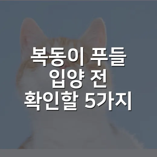 복동이 푸들 입양 전 확인할 5가지 현실 체크 - 요약