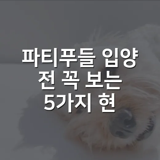 파티푸들 입양 전 꼭 보는 5가지 현실 체크 - 요약