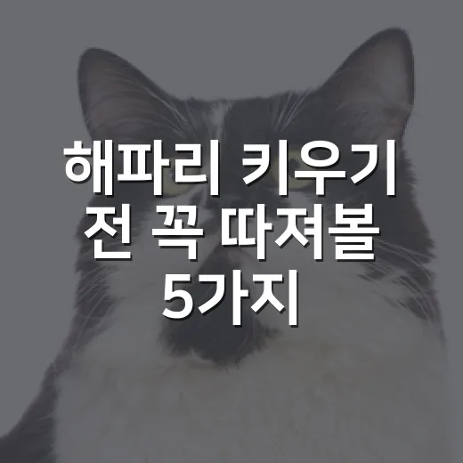 해파리 키우기 전 꼭 따져볼 5가지 현실 조건 - 요약