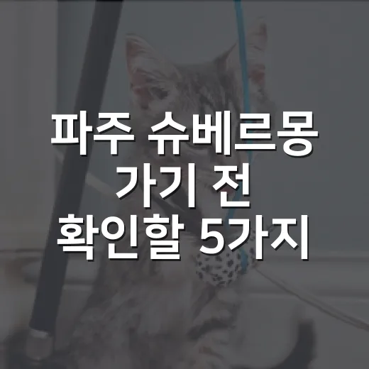 파주 슈베르몽 가기 전 확인할 5가지 - 요약