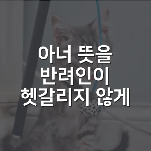 아너 뜻을 반려인이 헷갈리지 않게 이해하는 4가지 기준 - 요약
