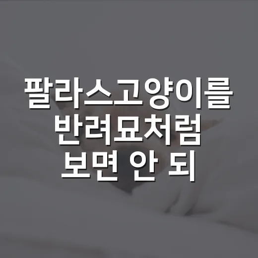 팔라스고양이를 반려묘처럼 보면 안 되는 5가지 이유 - 요약