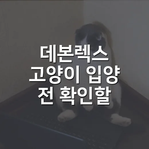 데본렉스 고양이 입양 전 확인할 5가지 현실 기준 - 요약