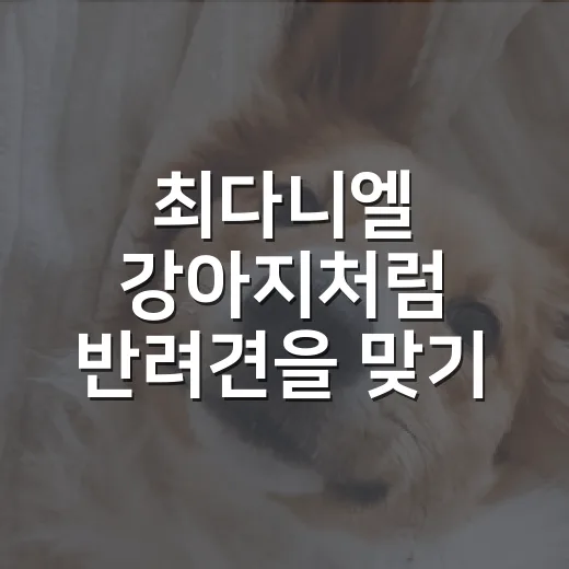 최다니엘 강아지처럼 반려견을 맞기 전 확인할 5가지 - 요약