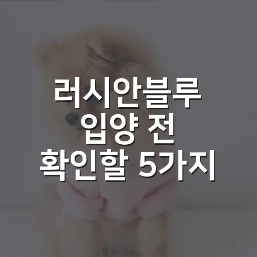 러시안블루 입양 전 확인할 5가지 현실 기준 - 요약