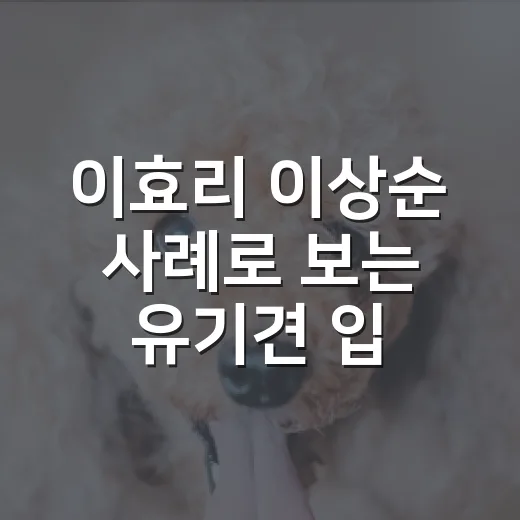 이효리 이상순 사례로 보는 유기견 입양 전 5가지 현실 체크 - 요약