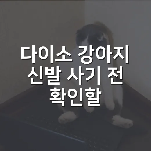 다이소 강아지 신발 사기 전 확인할 5가지 기준 - 요약