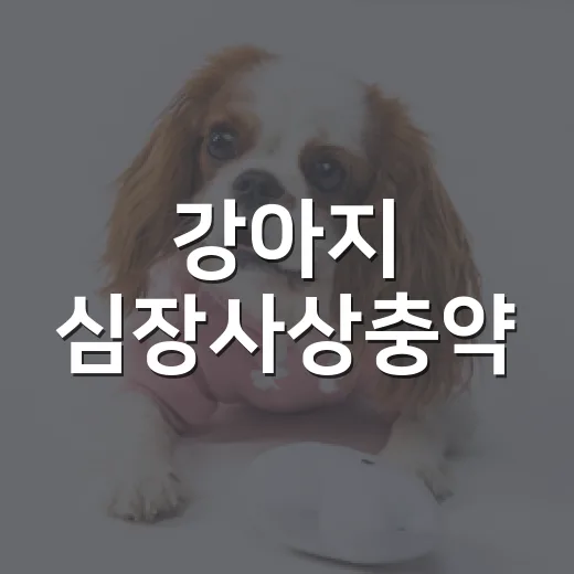 강아지 심장사상충약, 놓치기 쉬운 5가지 기준 - 요약