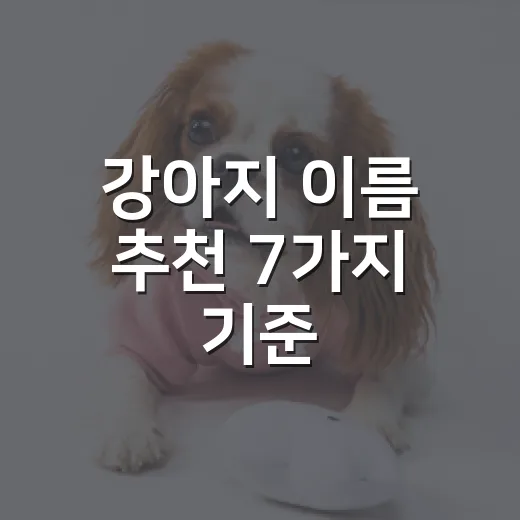 강아지 이름 추천 7가지 기준, 보호소에서 배운 부르기 쉬운 이름 고르는 법 - 요약