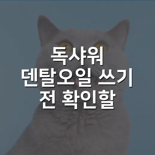 독샤워 덴탈오일 쓰기 전 확인할 5가지 기준 - 요약