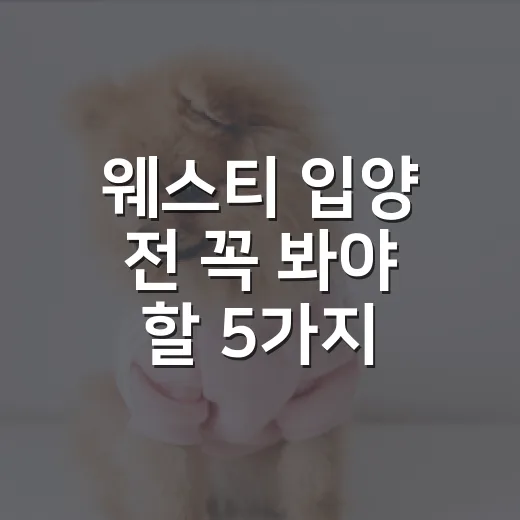 웨스티 입양 전 꼭 봐야 할 5가지 현실 체크 - 요약