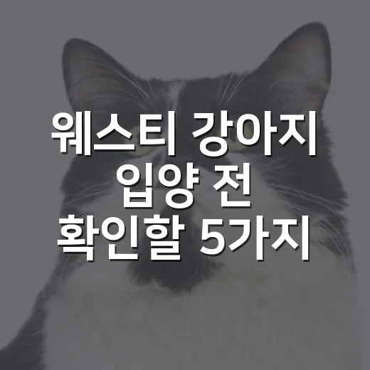 웨스티 강아지 입양 전 확인할 5가지 현실 체크 - 요약