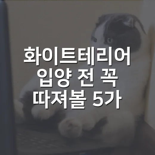 화이트테리어 입양 전 꼭 따져볼 5가지 현실 기준 - 요약