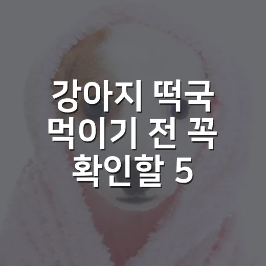 강아지 떡국 먹이기 전 꼭 확인할 5가지 - 요약