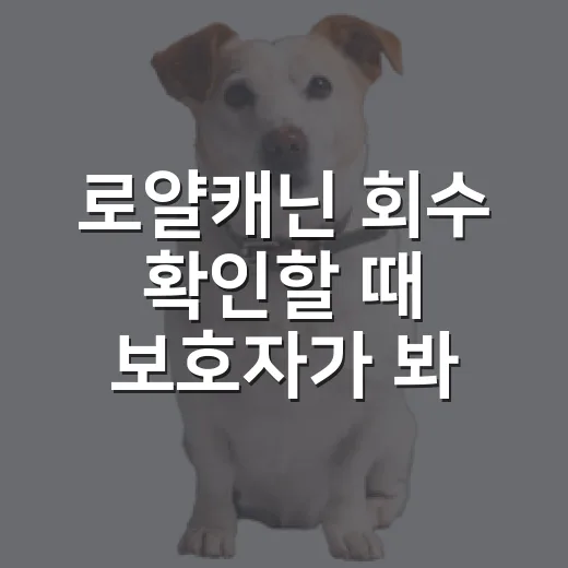 로얄캐닌 회수 확인할 때 보호자가 봐야 할 5가지 - 요약