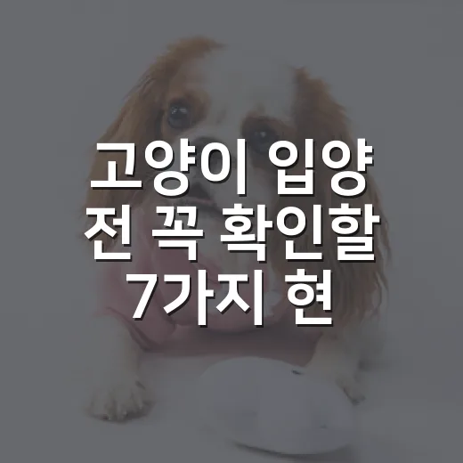 고양이 입양 전 꼭 확인할 7가지 현실 조건 - 요약