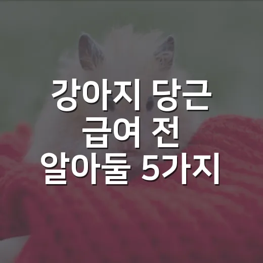 강아지 당근 급여 전 알아둘 5가지 기준 - 요약