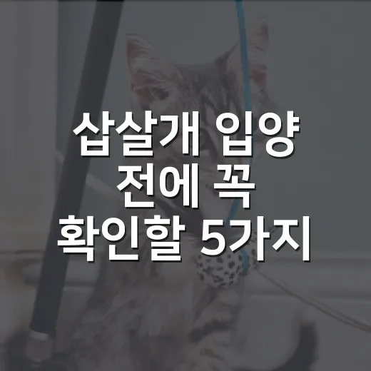 삽살개 입양 전에 꼭 확인할 5가지 현실 - 요약