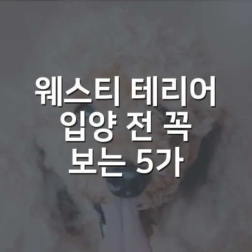 웨스티 테리어 입양 전 꼭 보는 5가지 현실 체크 - 요약