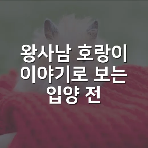 왕사남 호랑이 이야기로 보는 입양 전 책임 5가지 - 요약
