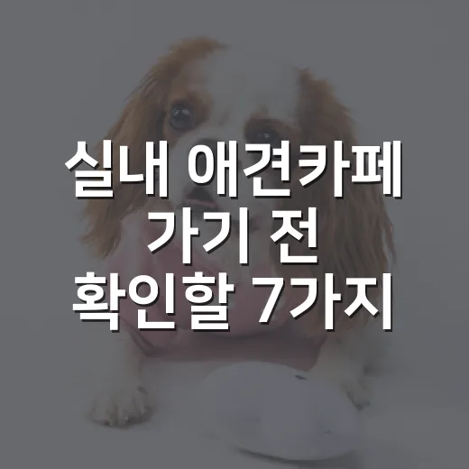 실내 애견카페 가기 전 확인할 7가지 기준 - 요약