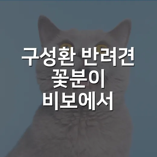 구성환 반려견 꽃분이 비보에서 생각한 반려인의 5가지 책임 - 요약