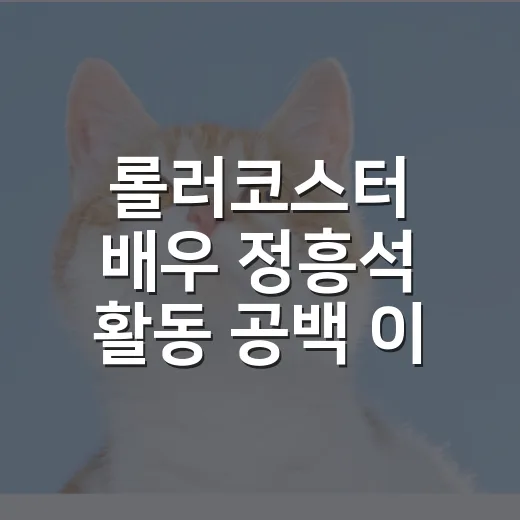 롤러코스터 배우 정흥석 활동 공백 이유 4가지 - 요약