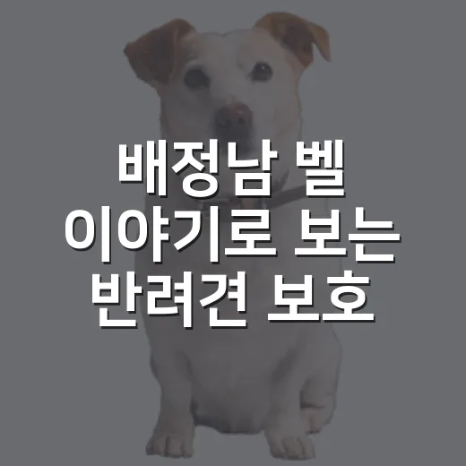 배정남 벨 이야기로 보는 반려견 보호자가 챙길 5가지 - 요약