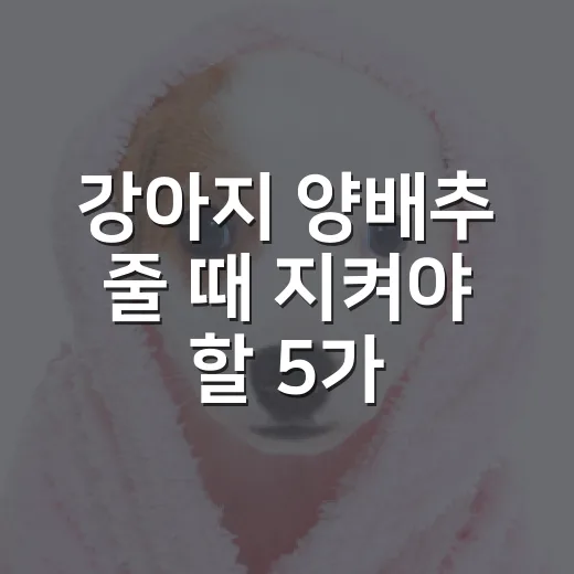 강아지 양배추 줄 때 지켜야 할 5가지 기준 - 요약