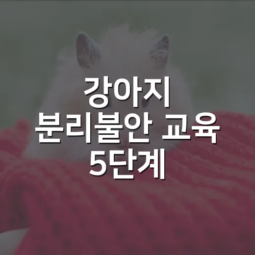 강아지 분리불안 교육 5단계, 보호소에서 배운 현실적인 방법 - 요약