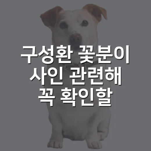 구성환 꽃분이 사인 관련해 꼭 확인할 5가지 - 요약