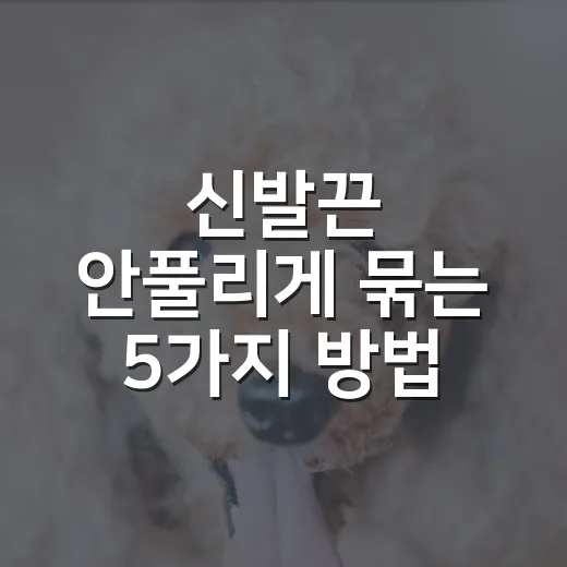 신발끈 안풀리게 묶는 5가지 방법, 보호소 산책 전에 꼭 확인하는 습관 - 요약