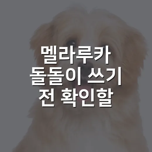 멜라루카 돌돌이 쓰기 전 확인할 5가지 기준 - 요약