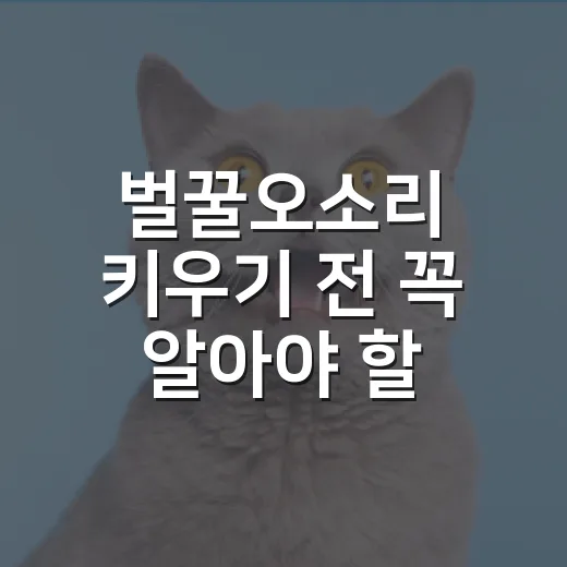 벌꿀오소리 키우기 전 꼭 알아야 할 5가지 현실 - 요약