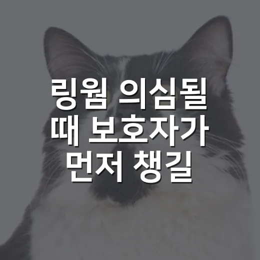 링웜 의심될 때 보호자가 먼저 챙길 5가지 - 요약