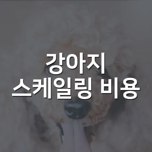 강아지 스케일링 비용, 견적 볼 때 꼭 나눠볼 5가지 - 요약