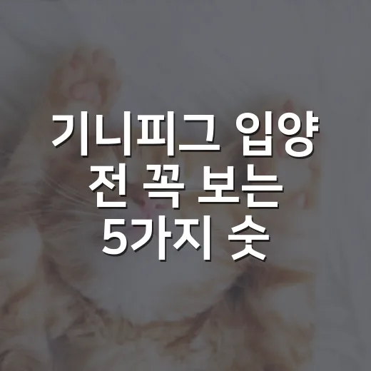 기니피그 입양 전 꼭 보는 5가지 숫자 - 요약